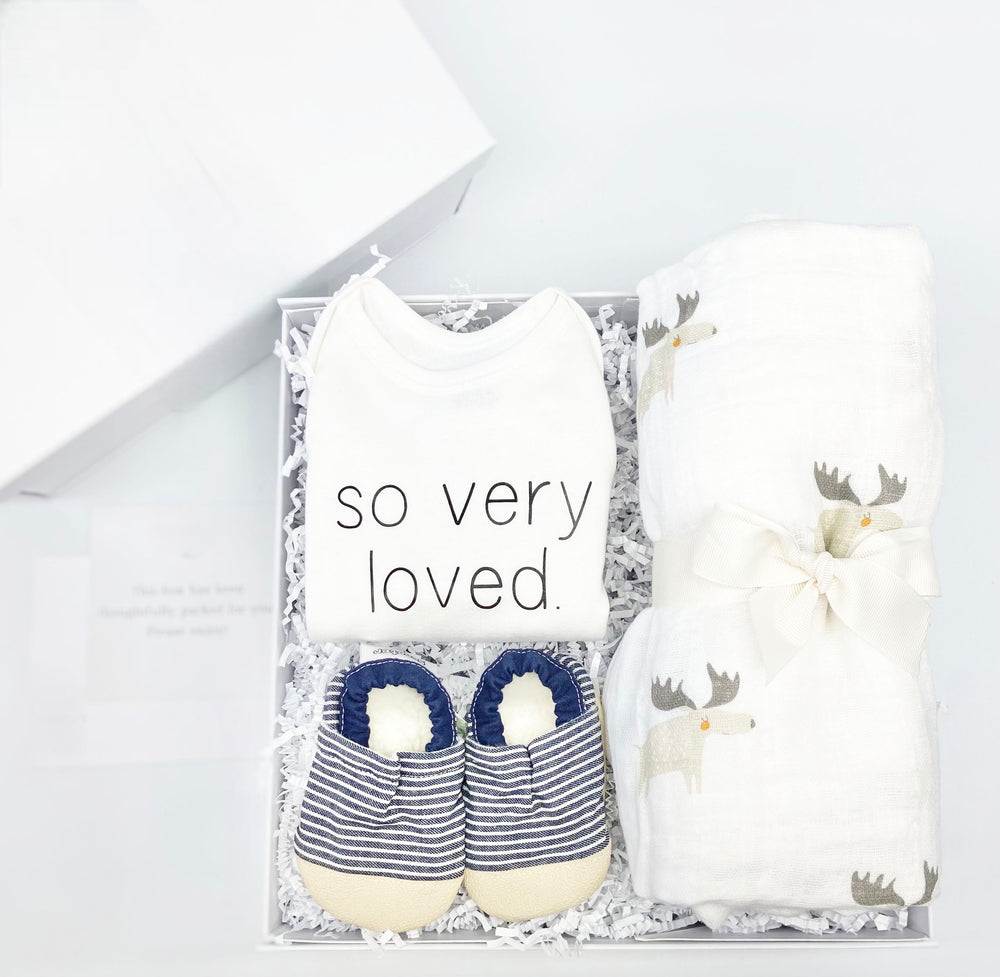 
                  
                    Baby Boy Gift Box
                  
                